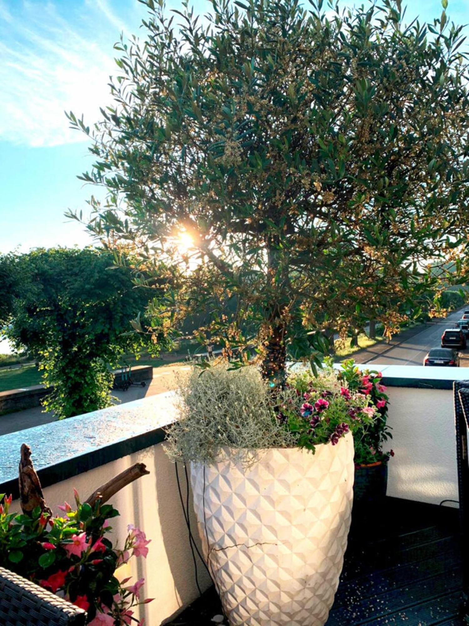 Villahotel Rheinblick Köln Exterior foto
